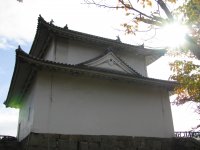 IMG_4099.JPG